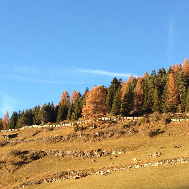Agriturismo Maso Larciunei Selva di Val Gardena Exterior foto